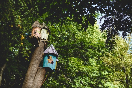 Twiggle houses - colourful elements at the BeWILDerwood site.